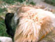 John-X3.jpg (34084 Byte)