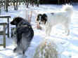 P1010017_4.JPG (52585 Byte)