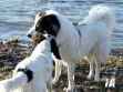 P1010028_2.jpg (60703 Byte)